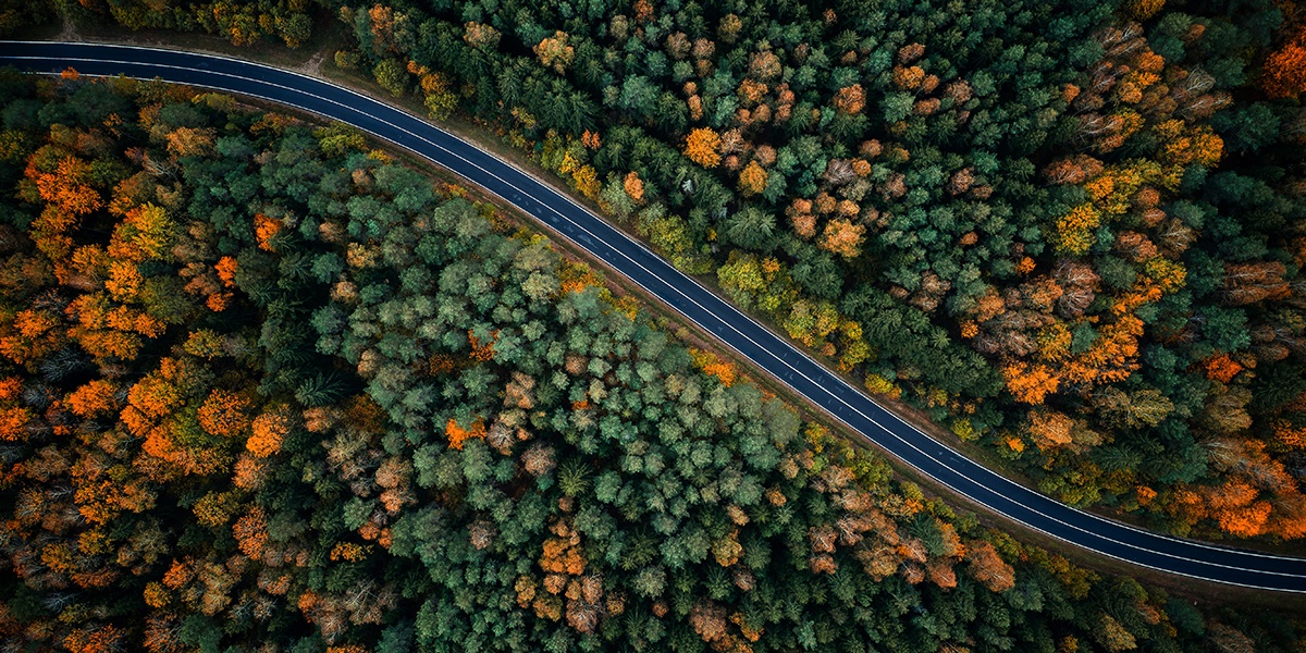 Road in forest. Curvy road in autumn forest from above. Travel background. Autumn scenic landscape with highway.